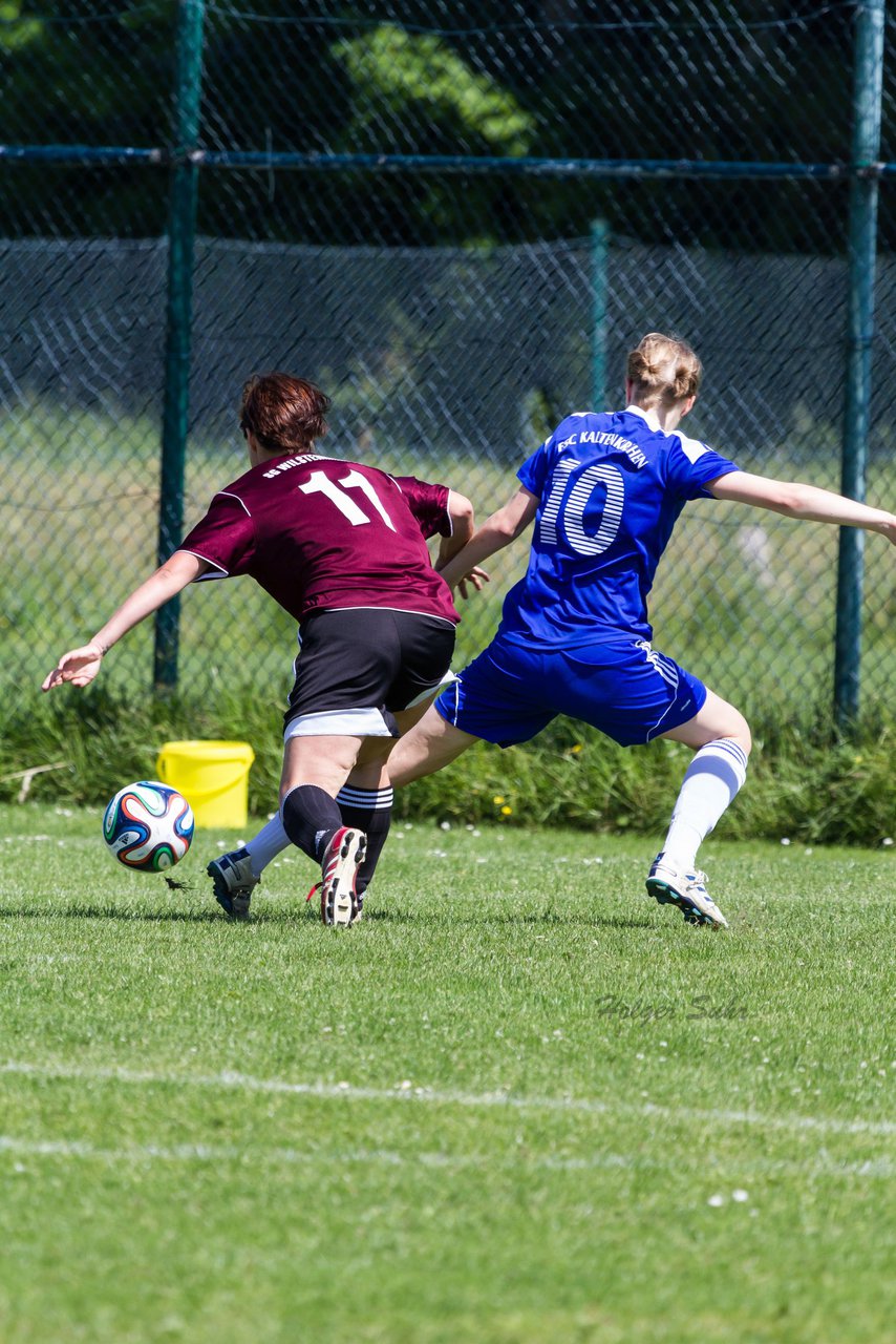 Bild 222 - Frauen SG Wilstermarsch - FSC Kaltenkirchen Aufstiegsspiel : Ergebnis: 2:1